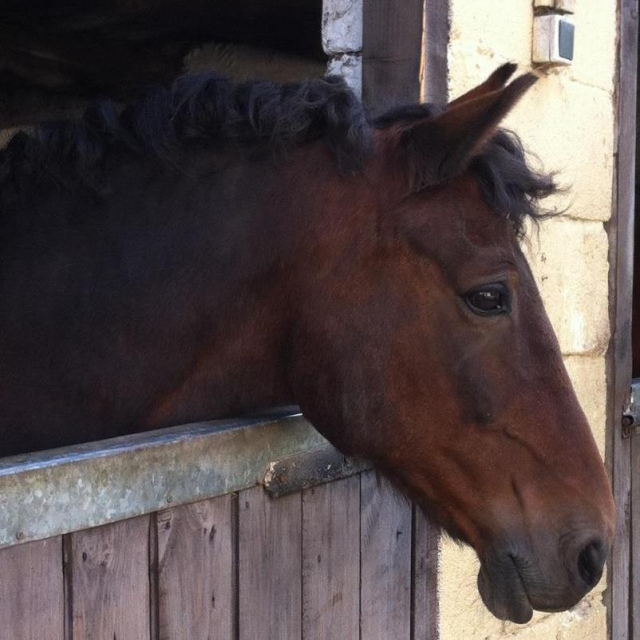Longfield Equestrian Centre